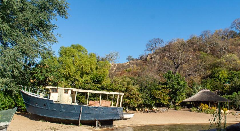 Mufasa Eco Lodge photo