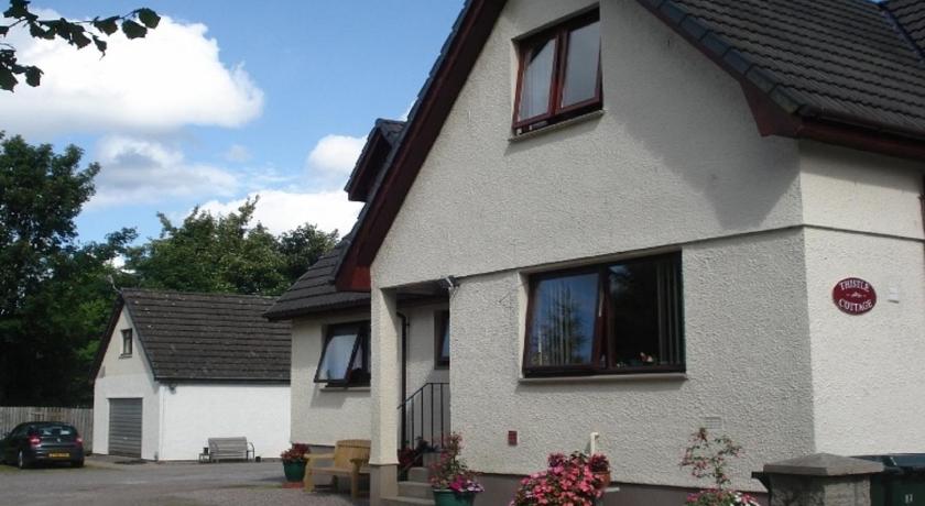 Thistle Cottage photo