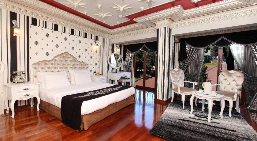 Deluxe Golden Horn Sultanahmet Hotel - image 10