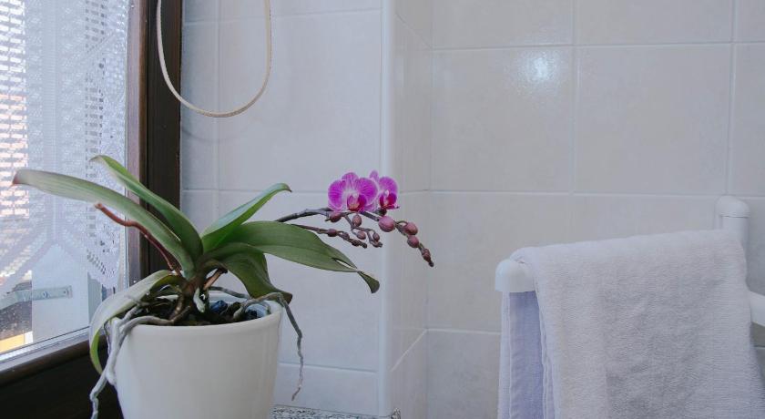 Rooms Pri Lovrizu photo