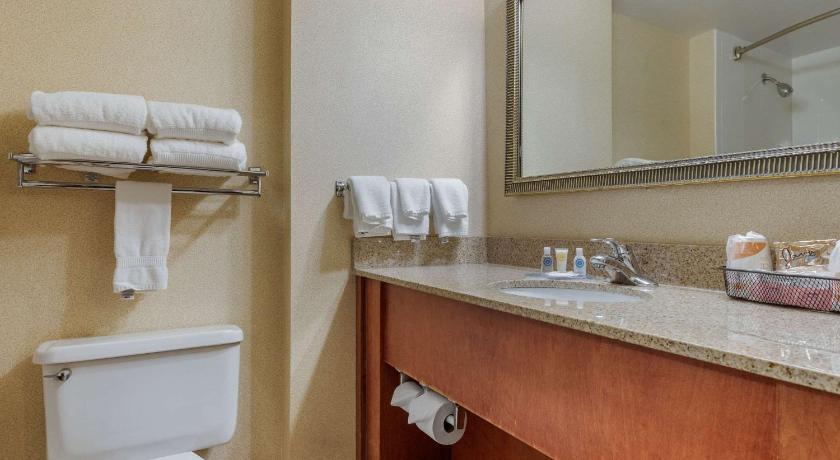 Comfort Inn Arlington Heights-OHare Airport