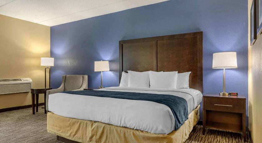 Comfort Inn Arlington Heights-OHare Airport