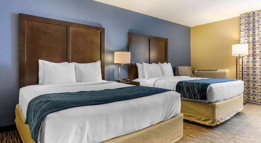 Comfort Inn Arlington Heights-OHare Airport