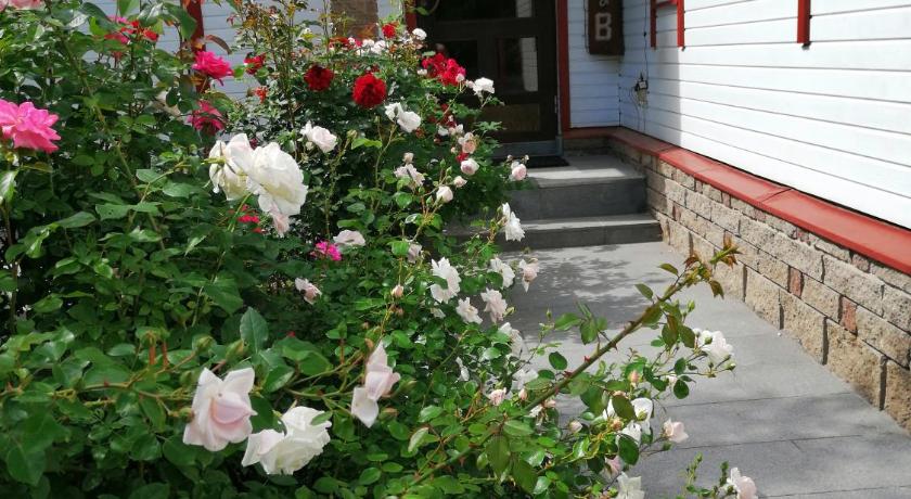 Liiva Guest Accommodation photo
