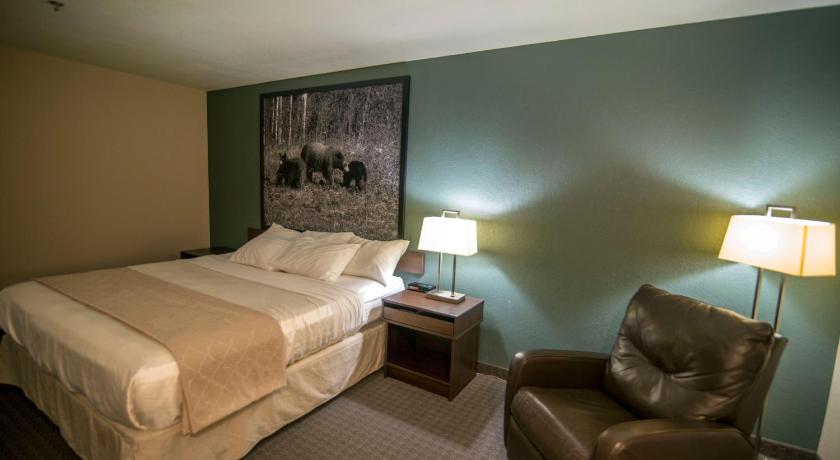 Image of 1 King Bed Non Smoking 1