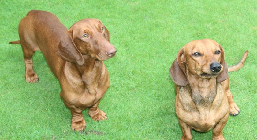 Whistling Woods Farm Stay photo
