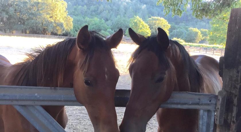 Rustridge Ranch & Winery photo