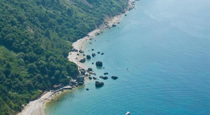 Avanti Hotel & Spa photo