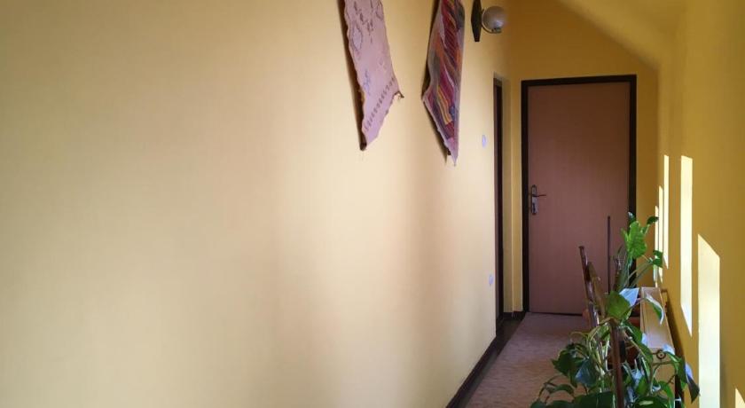 Pensiunea Michael's House photo