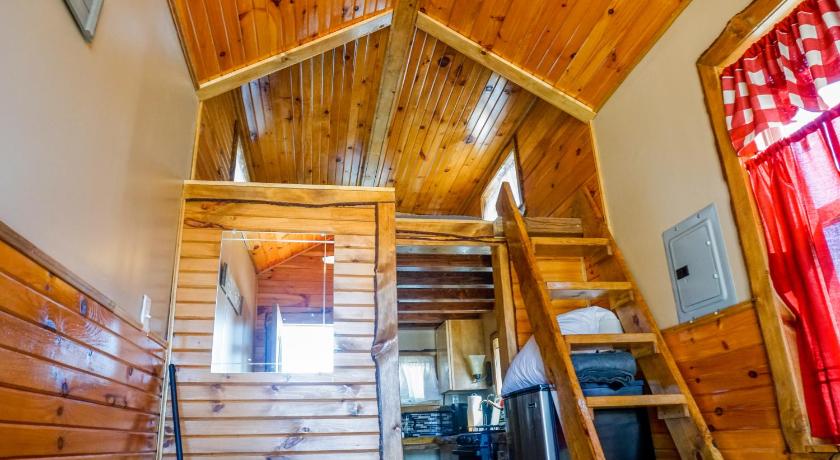 Tiny House Leadville Colorado photo