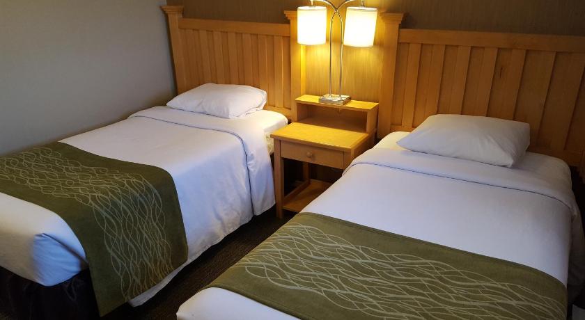 Image of 1 Queen Bed, 2 Single Beds, Suite, Nonsmoking, Upgrade 11