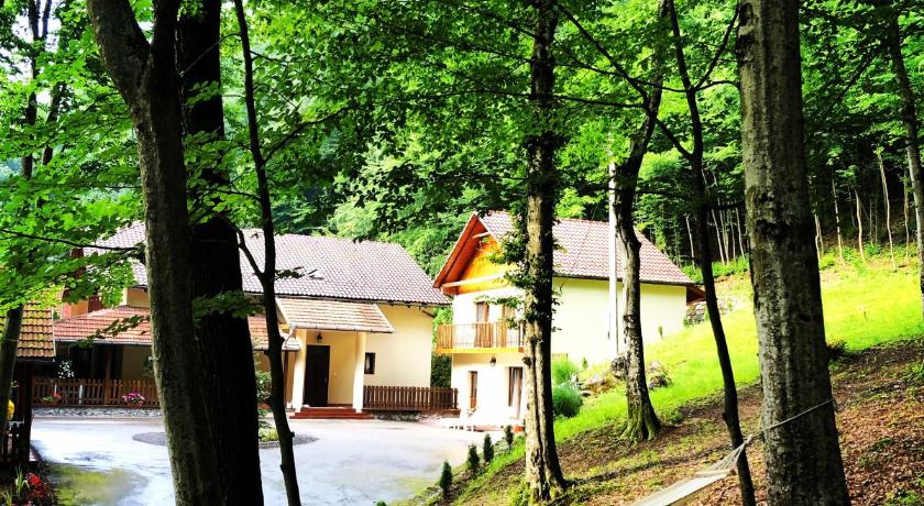 Pensiunea Valea Gepisului photo