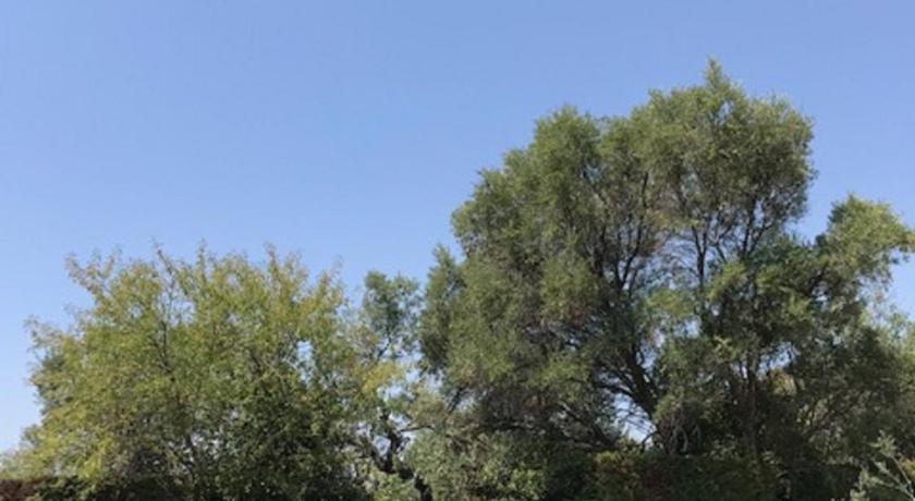 Guest House Olivades photo