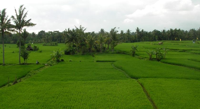 Green Field Hotel Ubud