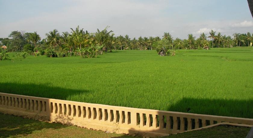 Green Field Hotel Ubud