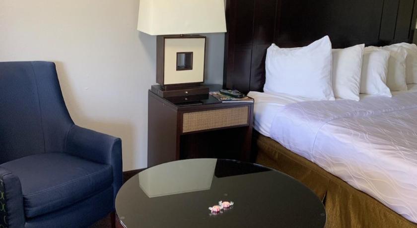 Pepper Tree Inn photo