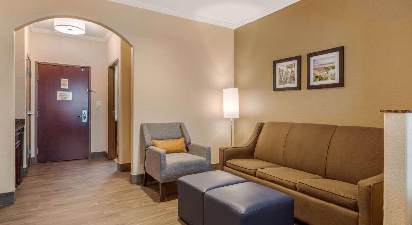 Comfort Suites Baytown I - 10