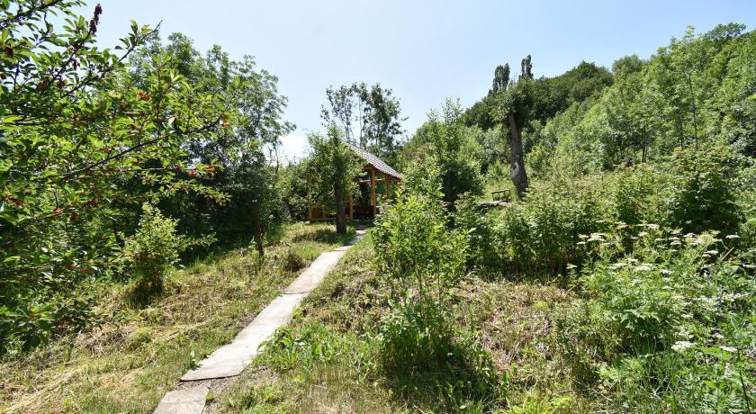 Guest House Arsan photo