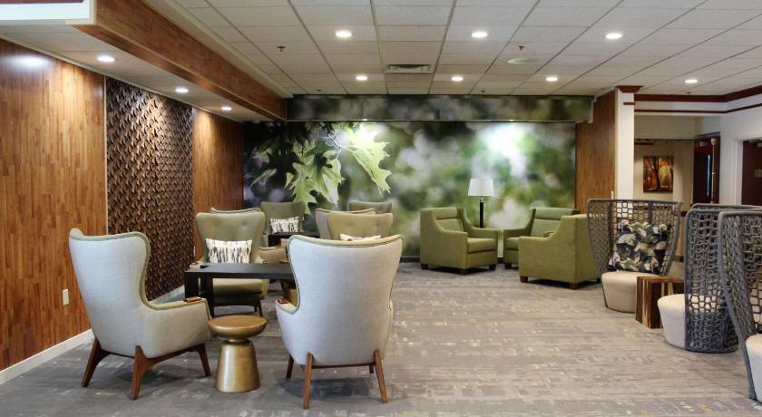 Medallion Inn and Suites photo