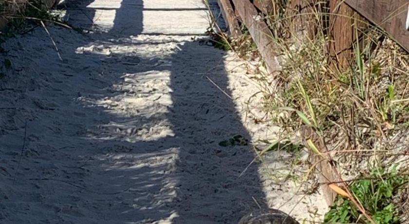 a walkway leading to a tunnel with a cat on it, St. Augustine Ocean & Racquet Resort in St. Augustine (FL)