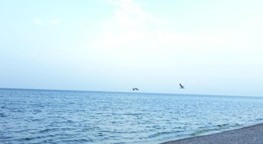 Alshumukh guesthouse photo