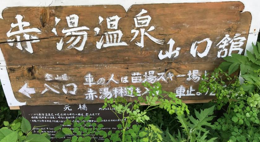 Naeba Ski Resort & Fuji Rock photo