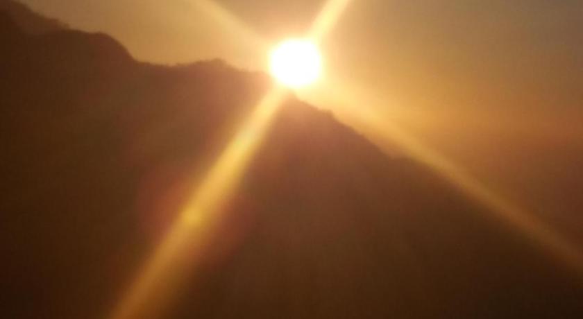 Heavens Seven photo