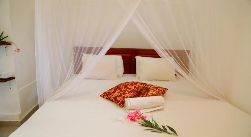 Nisala Guest photo