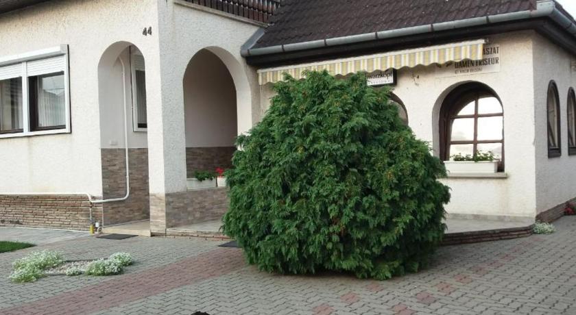 Vincze Vendeghaz photo
