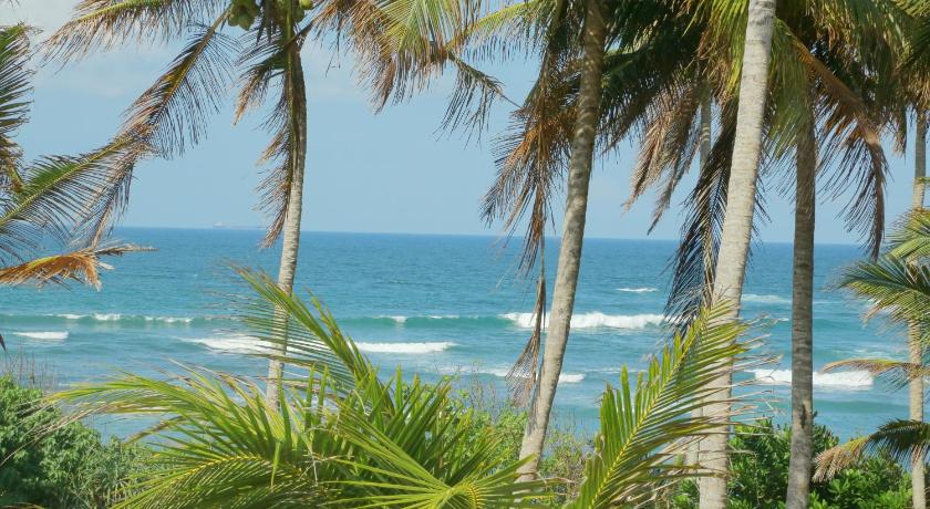 Coconut Hill Homestay photo