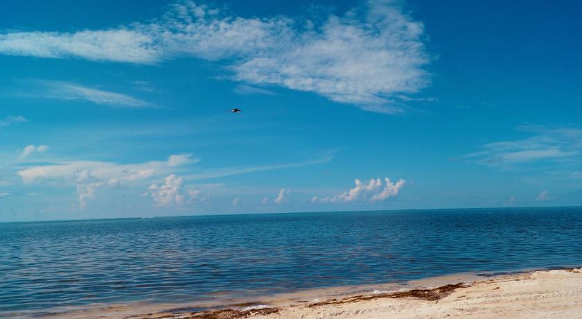 Deer Run on the Atlantic photo