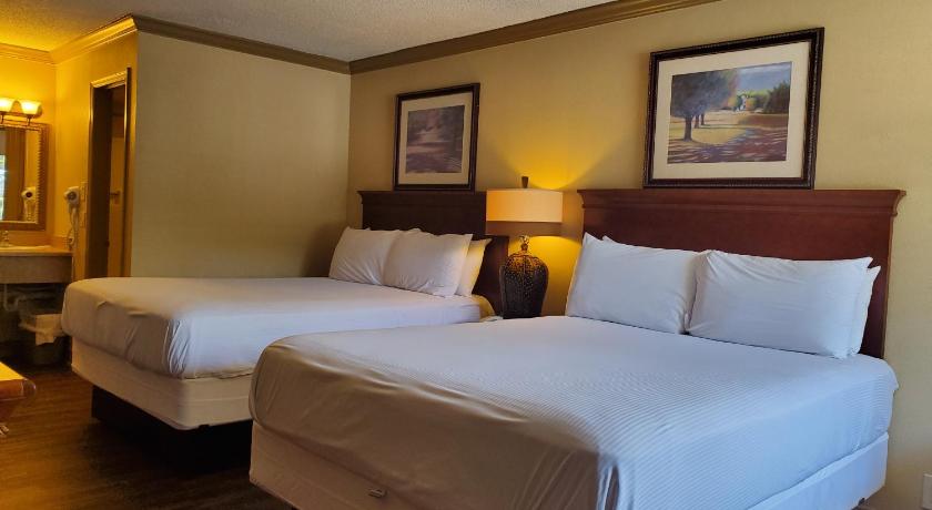 Image of Double Room - Ground Floor 0