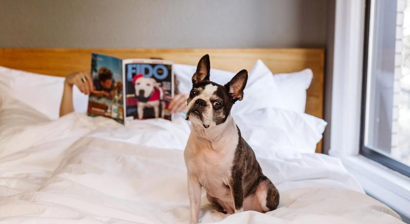 Hotel Max photo