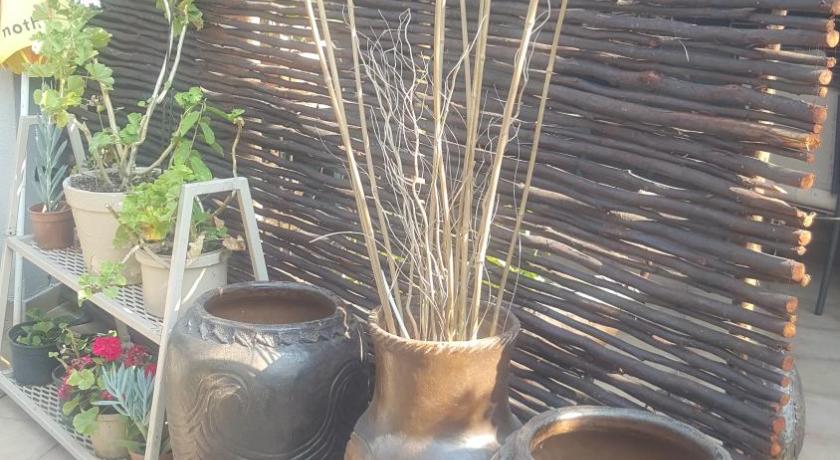 Aloes Bush Stay photo