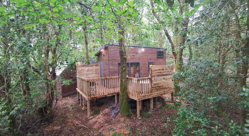 Tiny House-Hot Tub-St Clears-Pembrokeshire-Tenby photo