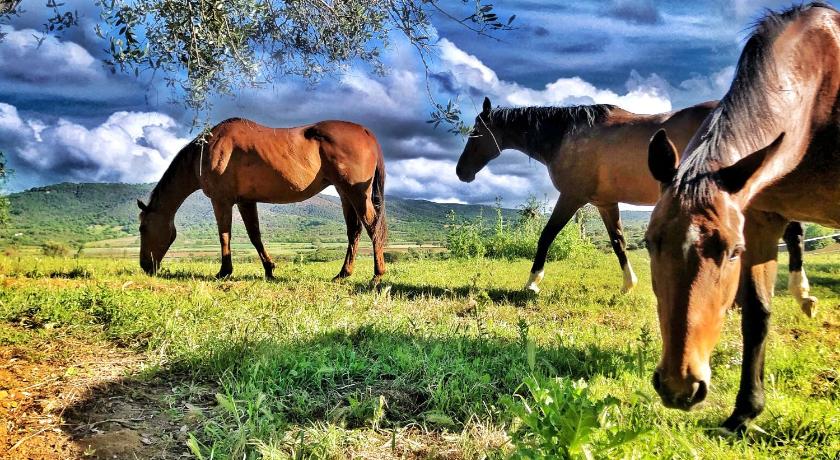 Montebelli Agriturismo & Country Hotel