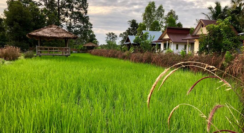 Baan Thung Home Stay — Hotel in Surin
