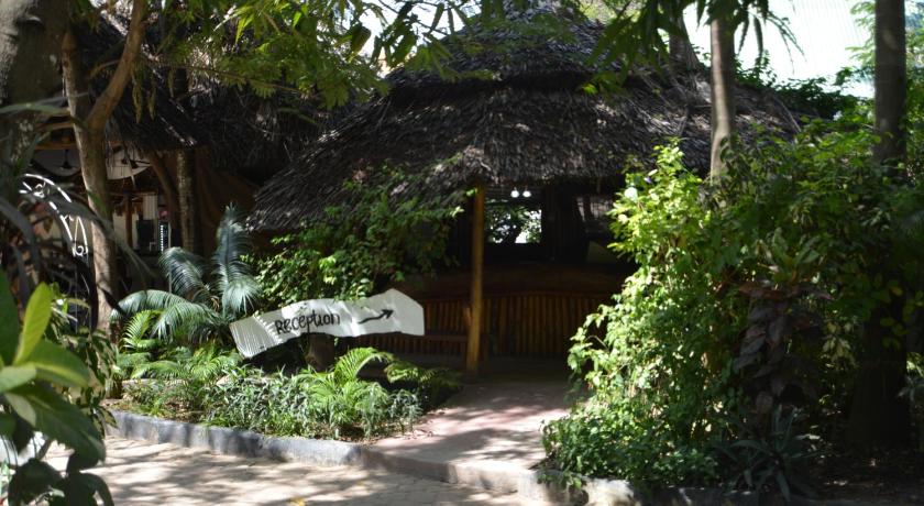 Triniti Oysterbay photo