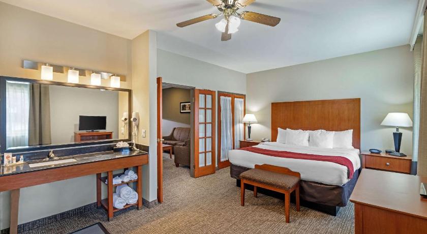 Comfort Suites North Dallas