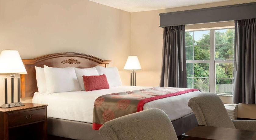 Image of 1 King Bed Studio Suite No Smoking 3