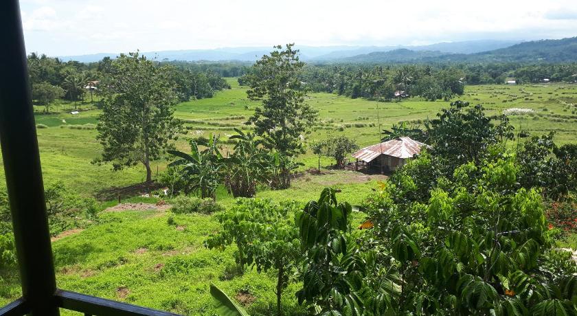 Villa del Carmen Haven Bohol photo
