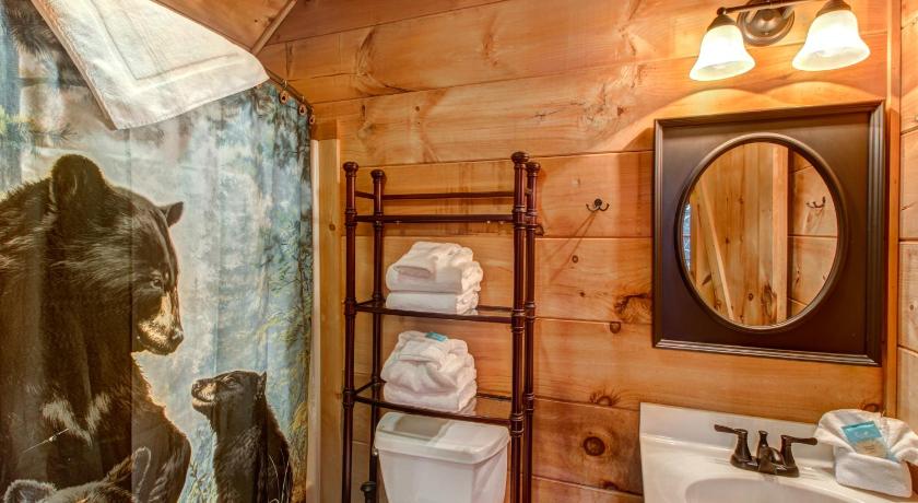 Twin Cub Lodge photo