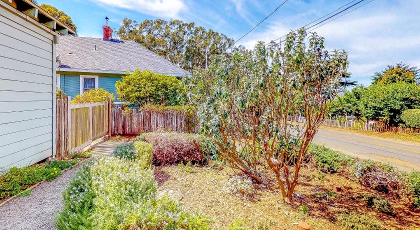 Albion Garden Cottage photo