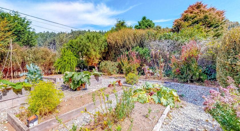 Albion Garden Cottage photo