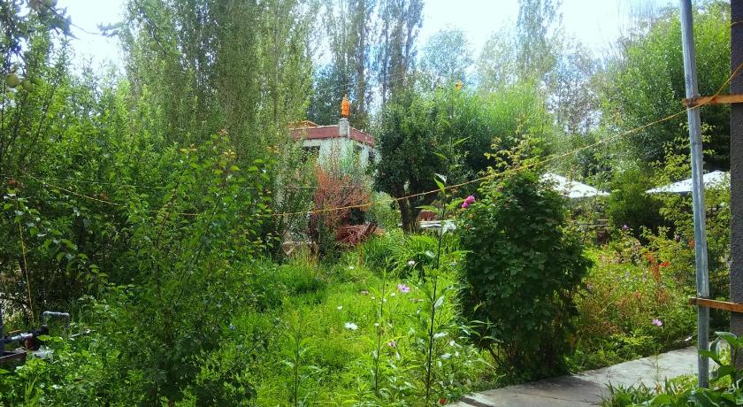Saiman Guest House - image 11