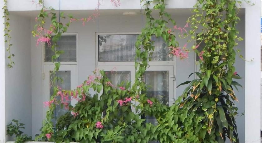 Homestay 37 AD photo