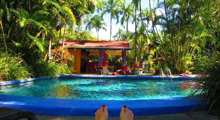 Pink Flamingo Resort photo