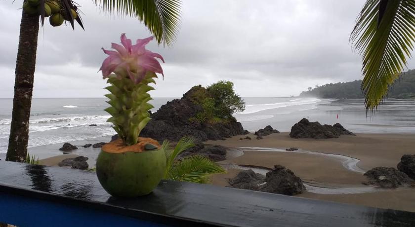 The Hill B&B (El Morro Hosteria) photo