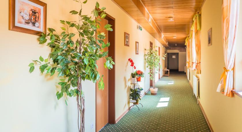 Hotel garni Steinfeld photo