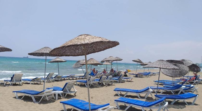 Panorama 44 Agya Napa photo